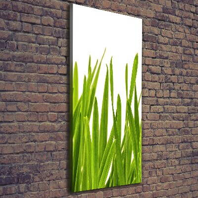 Verticaal schilderij op canvas Groen gras