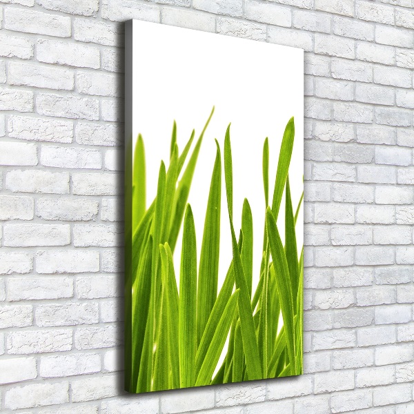 Verticaal schilderij op canvas Groen gras
