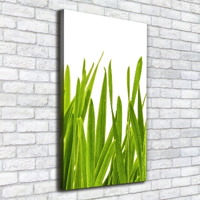 Verticaal schilderij op canvas Groen gras