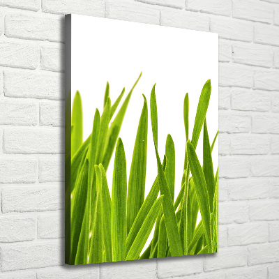 Verticaal schilderij op canvas Groen gras