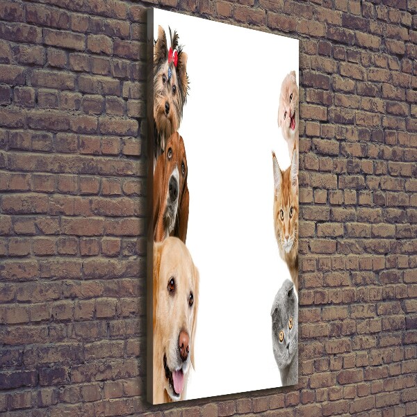 Verticale foto op canvas Honden en katten