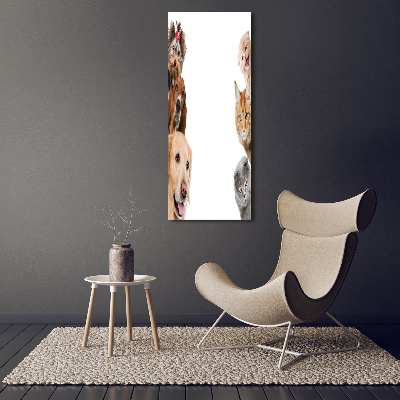 Verticale foto op canvas Honden en katten
