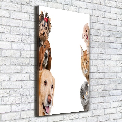 Verticale foto op canvas Honden en katten
