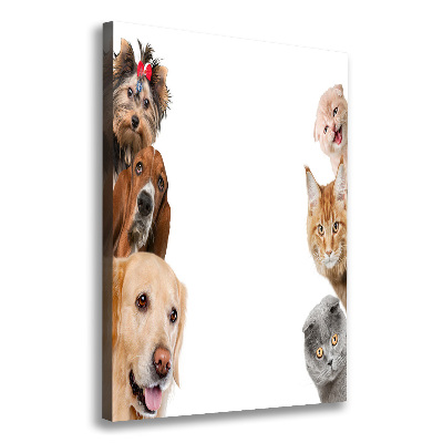 Verticale foto op canvas Honden en katten