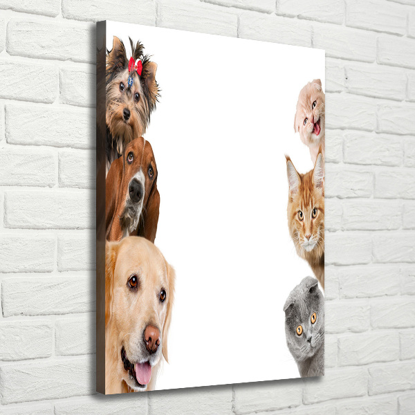 Verticale foto op canvas Honden en katten