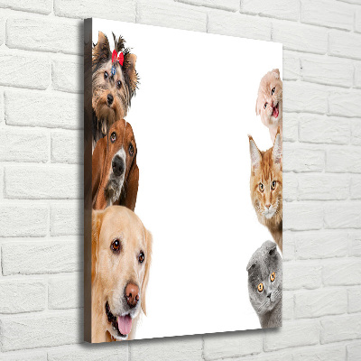 Verticale foto op canvas Honden en katten