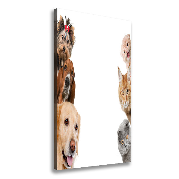 Verticale foto op canvas Honden en katten