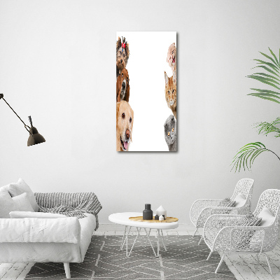Verticale foto op canvas Honden en katten