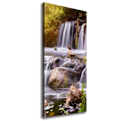 Verticale canvasfoto Waterval