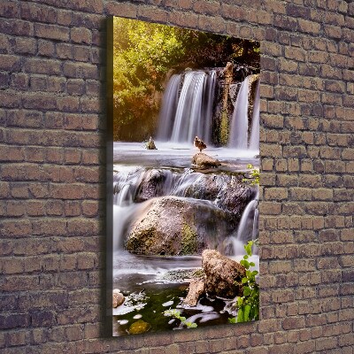 Verticale canvasfoto Waterval