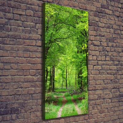 Verticale canvasfoto Groen bos