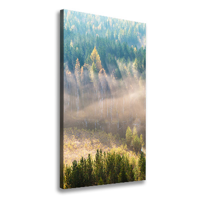 Verticale foto op canvas Mist boven het bos