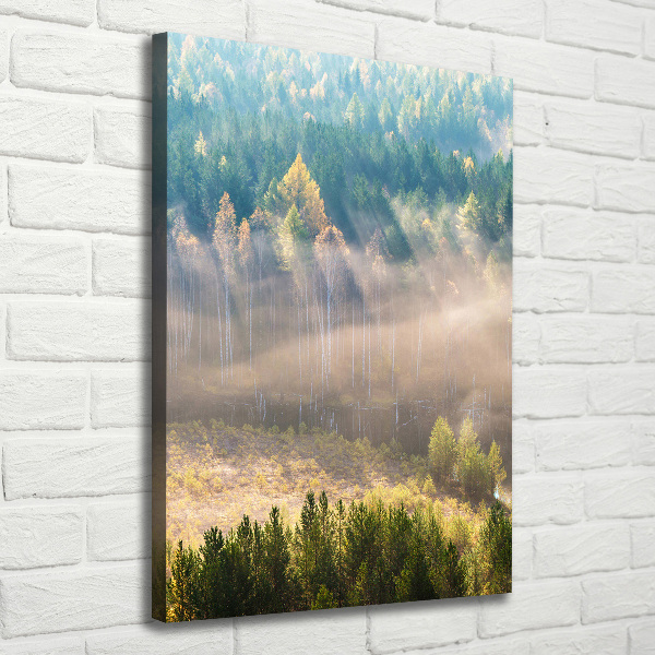 Verticale foto op canvas Mist boven het bos