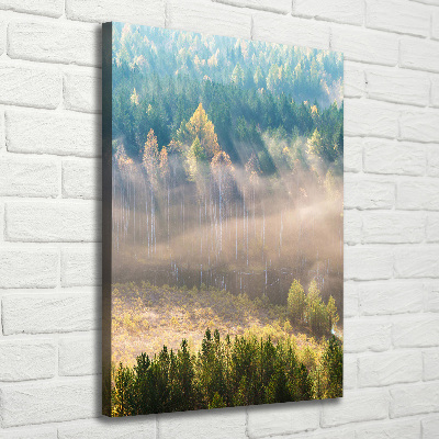 Verticale foto op canvas Mist boven het bos