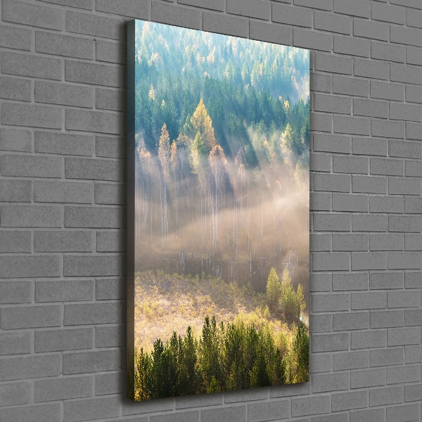 Verticale foto op canvas Mist boven het bos