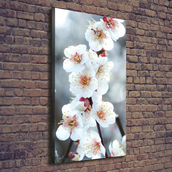 Verticale foto op canvas Kersenbloesems