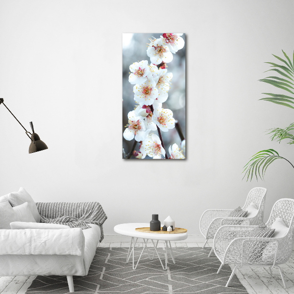 Verticale foto op canvas Kersenbloesems