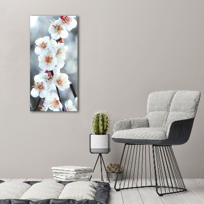 Verticale foto op canvas Kersenbloesems