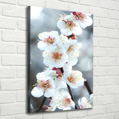 Verticale foto op canvas Kersenbloesems
