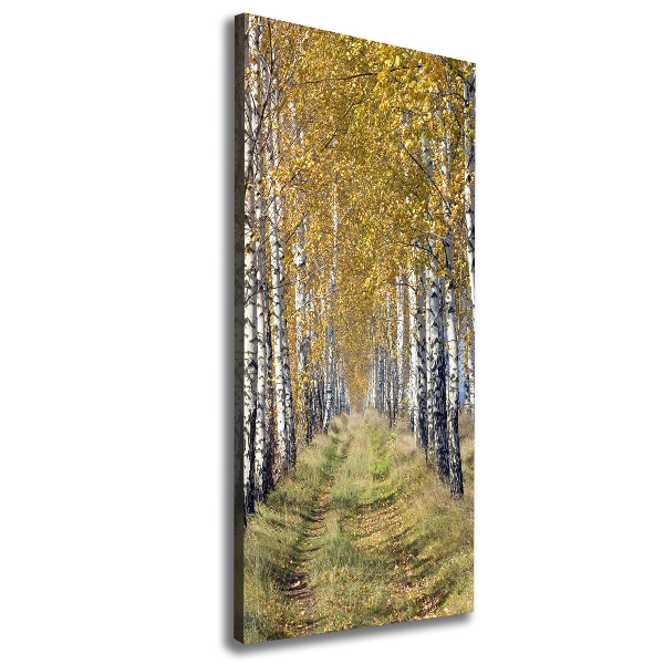 Verticaal canvasschilderij Berkenbos