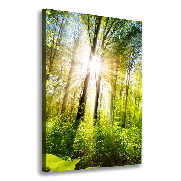 Verticale foto op canvas De zon in het bos