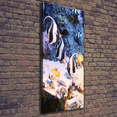 Verticaal canvasschilderij Koraalrif