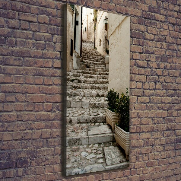 Verticale canvasfoto Een charmante straat