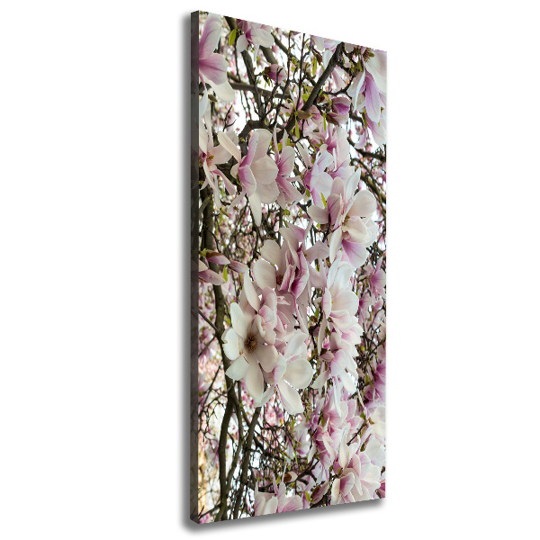 Verticale foto op canvas Magnolia bloemen