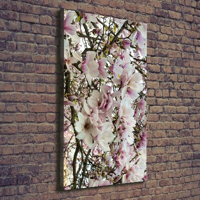 Verticale foto op canvas Magnolia bloemen