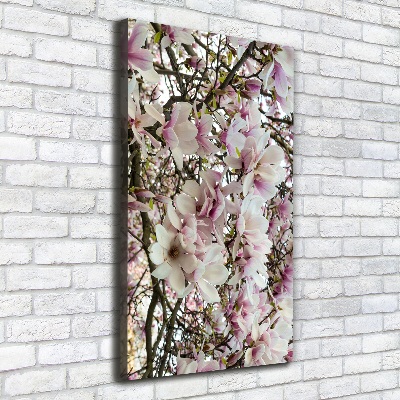 Verticale foto op canvas Magnolia bloemen