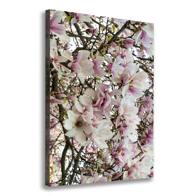 Verticale foto op canvas Magnolia bloemen
