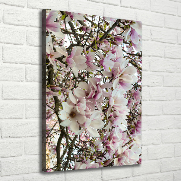 Verticale foto op canvas Magnolia bloemen