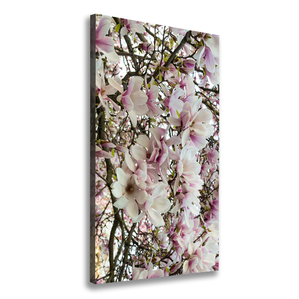 Verticale foto op canvas Magnolia bloemen