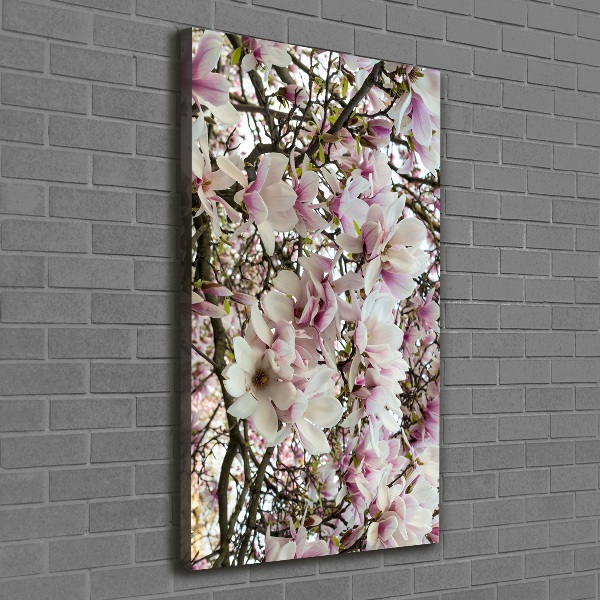 Verticale foto op canvas Magnolia bloemen