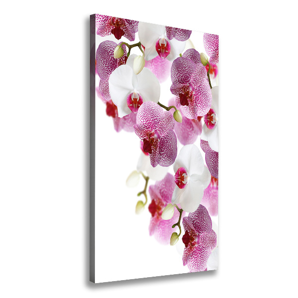 Verticaal canvasschilderij Orchidee