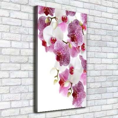 Verticaal canvasschilderij Orchidee