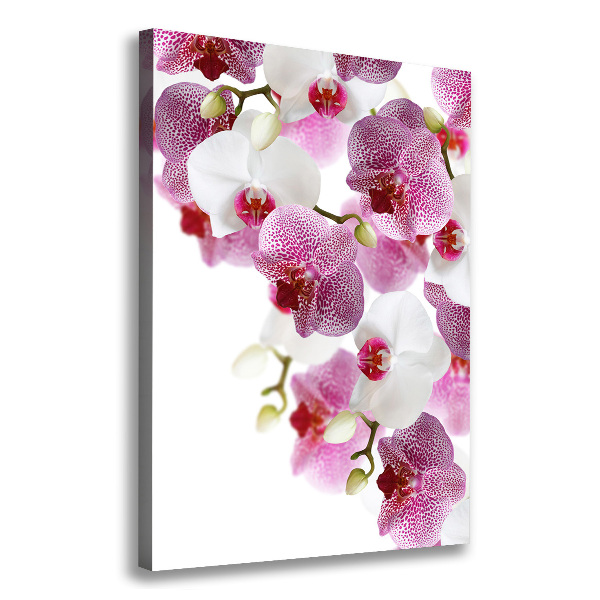 Verticaal canvasschilderij Orchidee