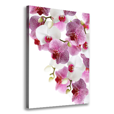 Verticaal canvasschilderij Orchidee