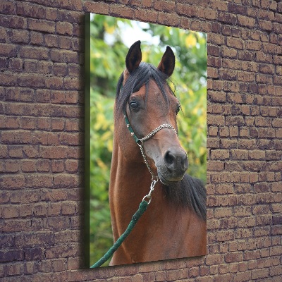 Verticale canvasfoto Portret van een paard