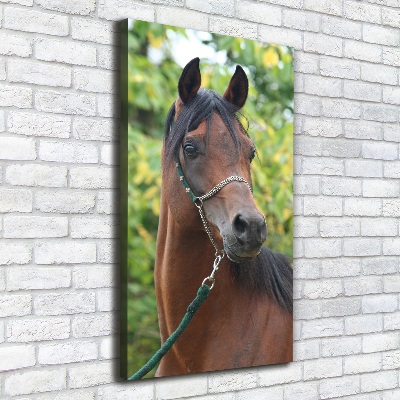 Verticale canvasfoto Portret van een paard