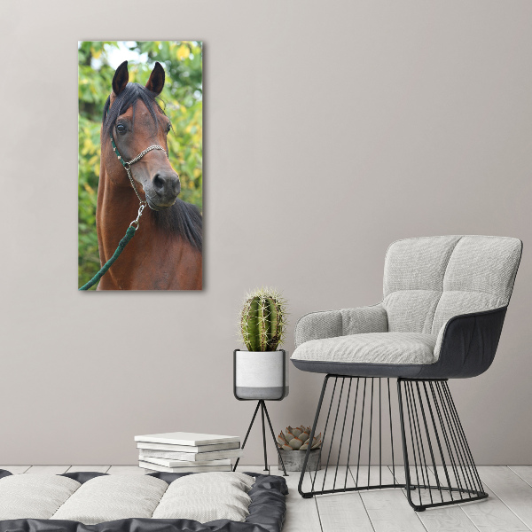 Verticale canvasfoto Portret van een paard