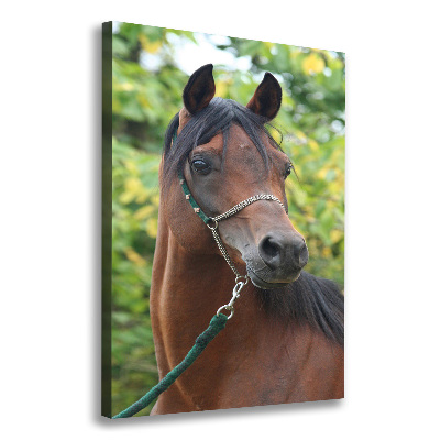 Verticale canvasfoto Portret van een paard