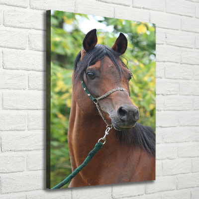 Verticale canvasfoto Portret van een paard