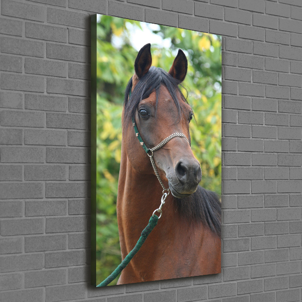 Verticale canvasfoto Portret van een paard