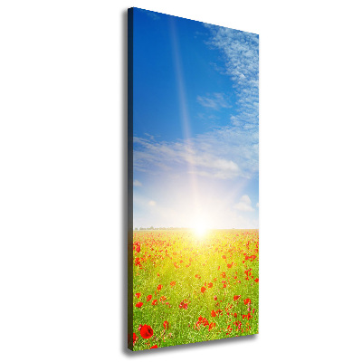 Verticale canvasfoto Klaprozenveld