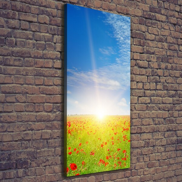 Verticale canvasfoto Klaprozenveld