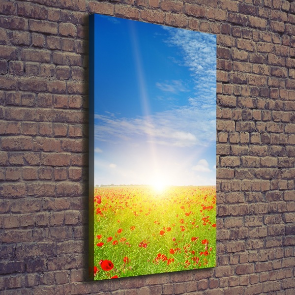 Verticale canvasfoto Klaprozenveld