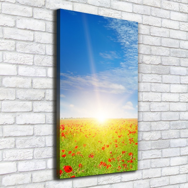 Verticale canvasfoto Klaprozenveld