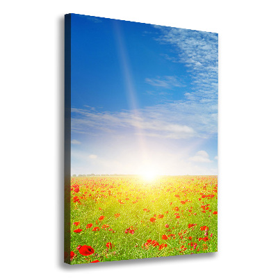 Verticale canvasfoto Klaprozenveld