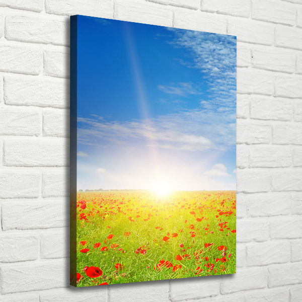 Verticale canvasfoto Klaprozenveld